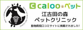 江古田の森ペットクリニック calooペット　外部リンク