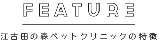 FEATURE　江古田の森ペットクリニックの特徴