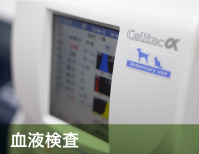 血液検査