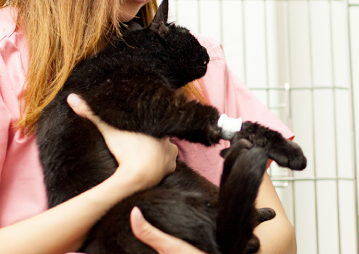 入院中のお見舞い